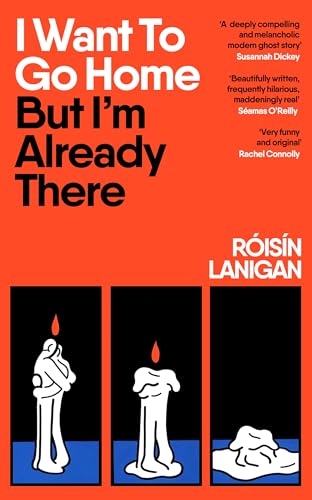 I WANT TO GO HOME BUT IM ALREADY THERE by Roísín Lanigan