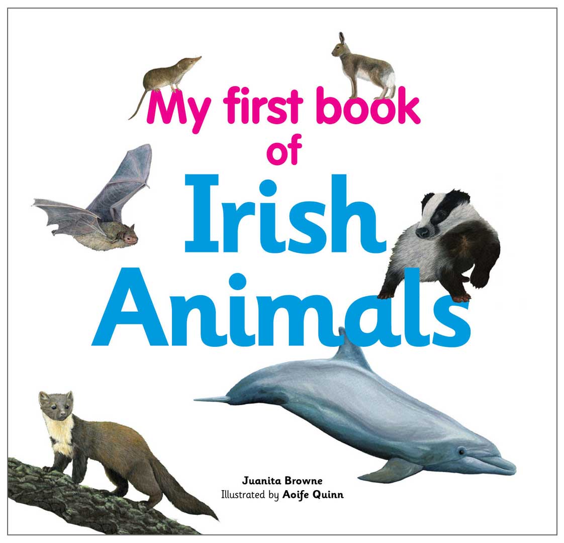 My First Book of Irish Animals