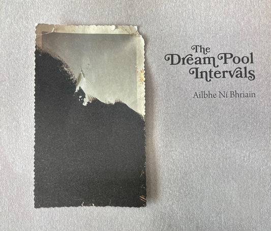 THE DREAM POOL INTERVALS   Ailbhe Ní Bhriain